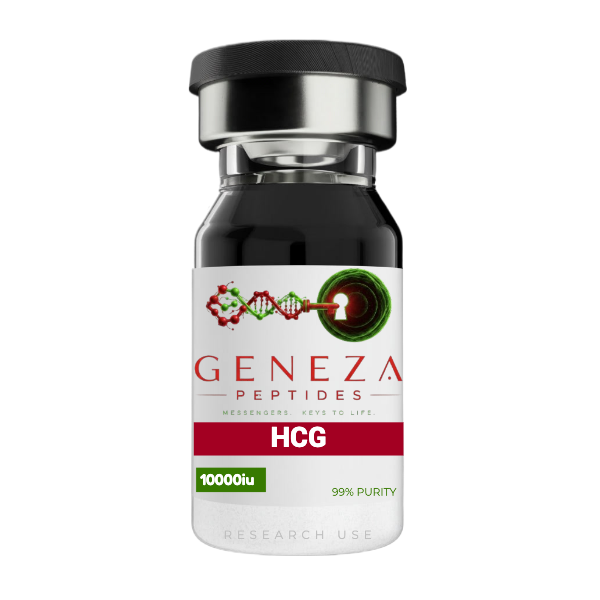 HCG (Human Chorionic Gonadotropin) - Image 2